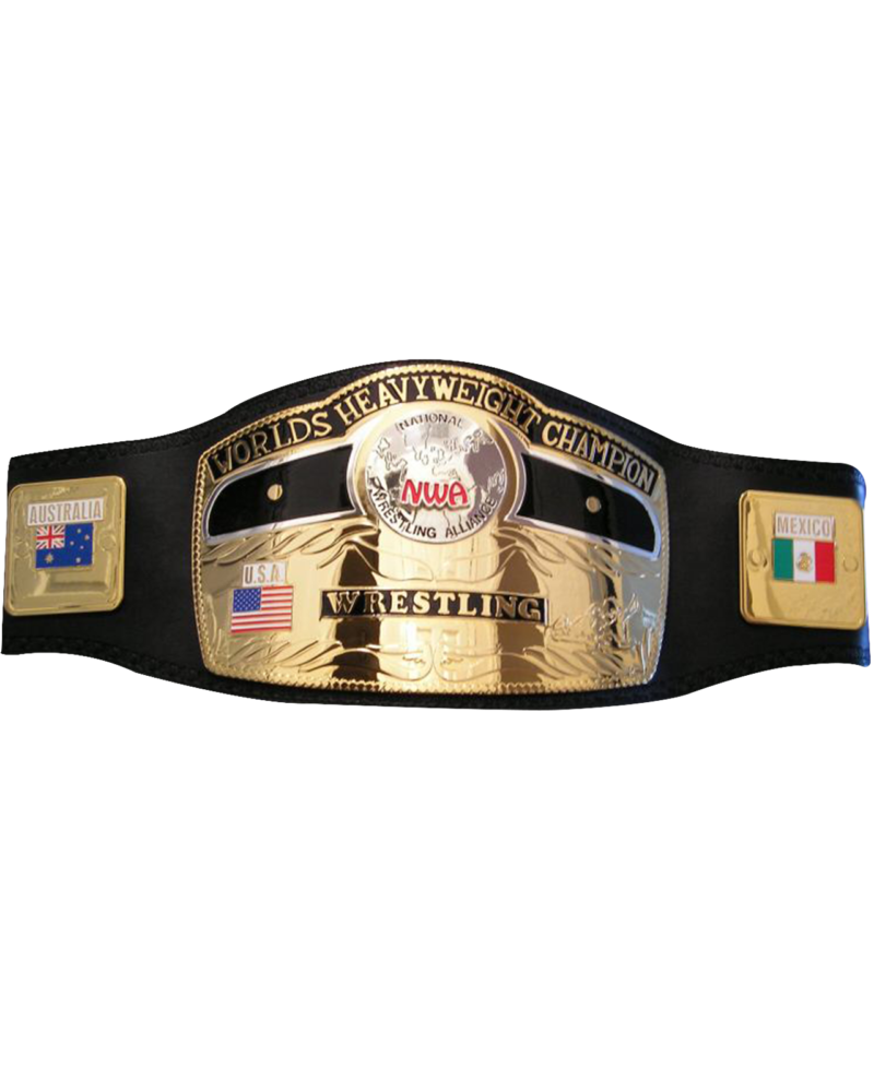 NWA Worlds Heavyweight Domed Globe Wrestling Championship Belt