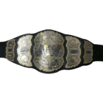 AEW World Heavyweight  Wrestling Championship Belt/Title