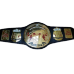 The Rock Brahma Bull Championship Replica Title/Belt