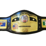 NWA Domed Globe Wrestling Championship Belt/Title